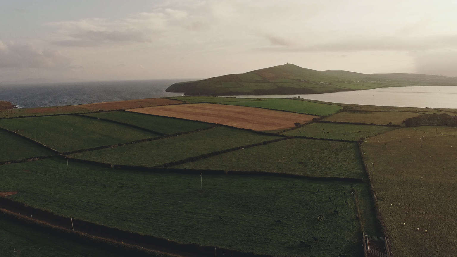 Dingle view at the coast