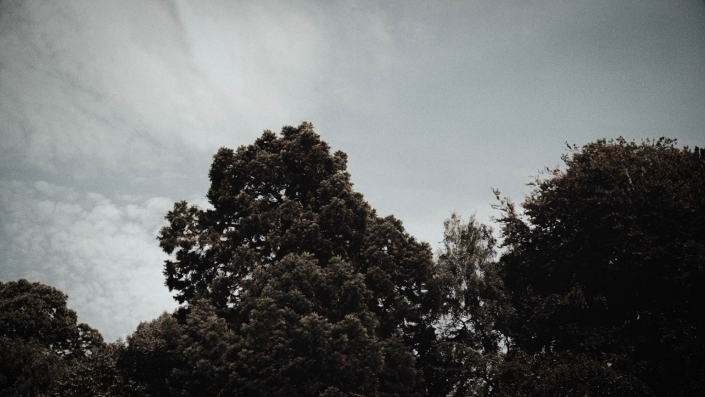 threes and sky