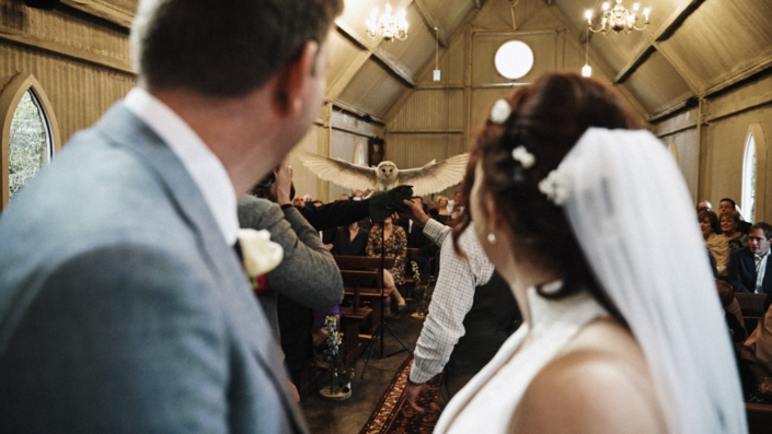 Owl fly with wedding rings
